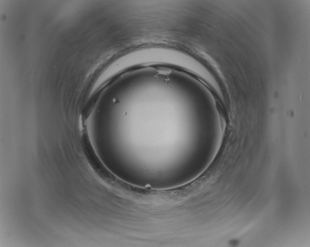 X0000071850020200606301348