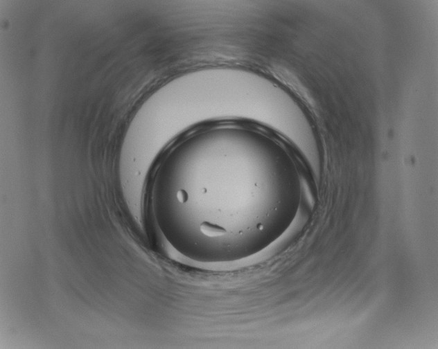 X0000071850021200606301348