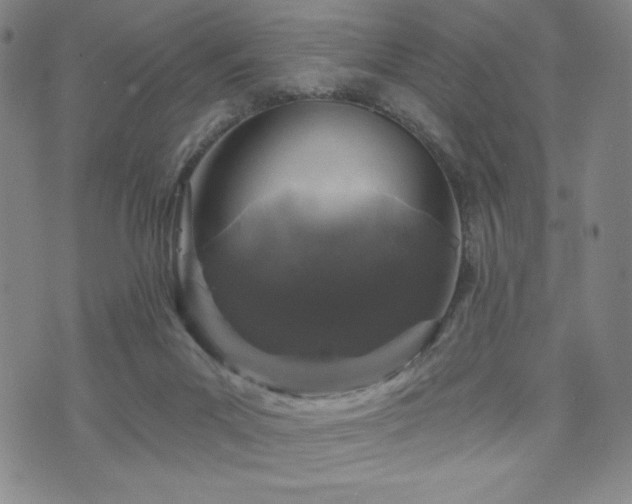 X0000071850023200606301348