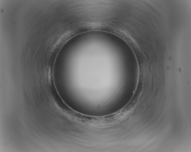 X0000071850024200606301348