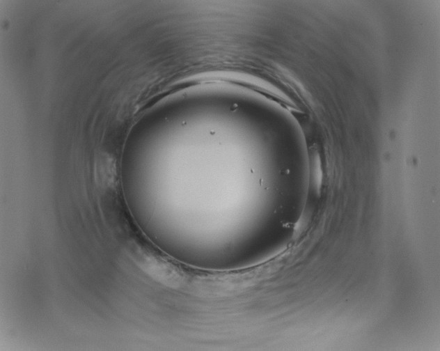 X0000071850025200606301348