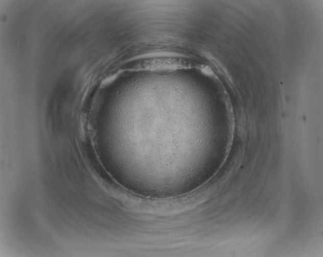 X0000071850026200606301348