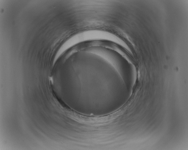 X0000071850027200606301348