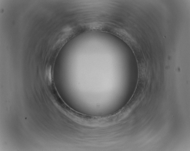 X0000071850028200606301348