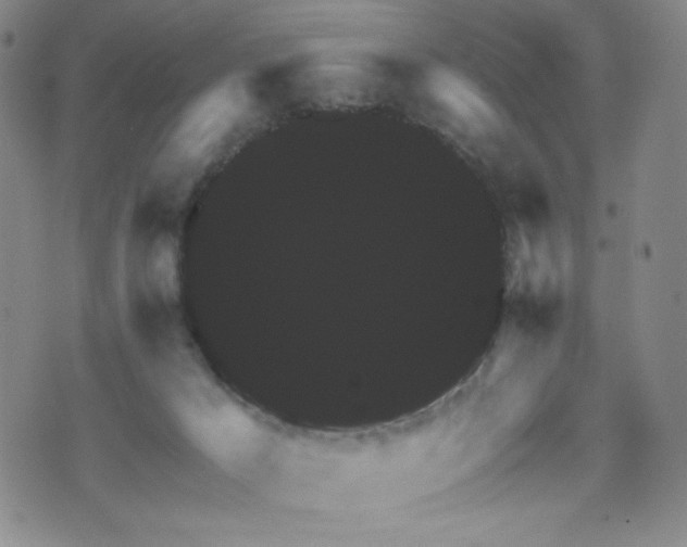 X0000071850029200606301348