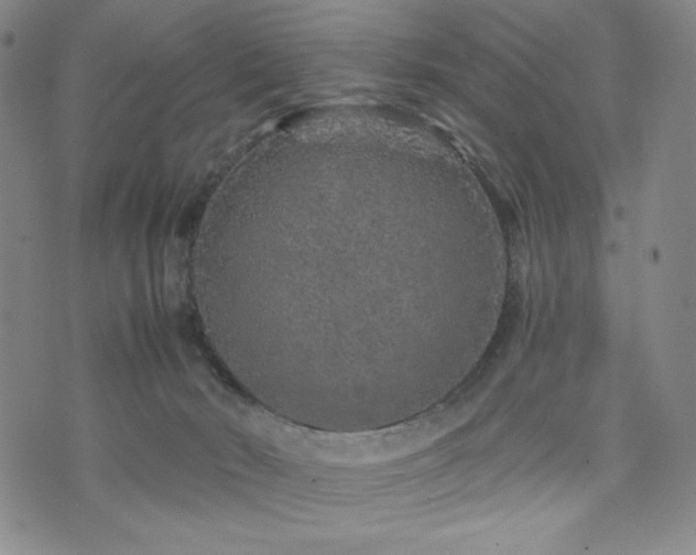 X0000071850030200606301348