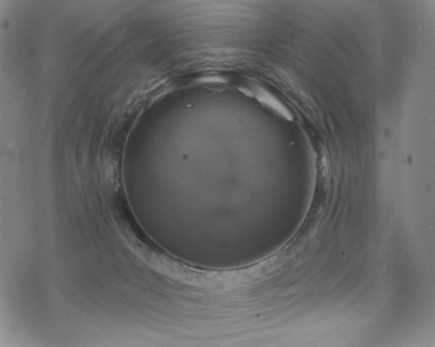 X0000071850031200606301348