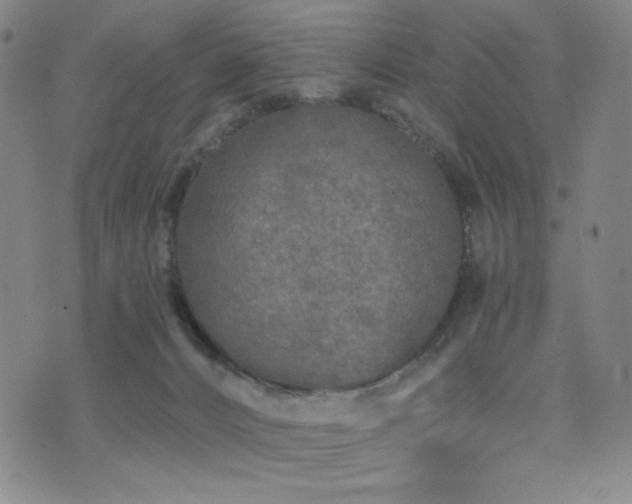 X0000071850032200606301348