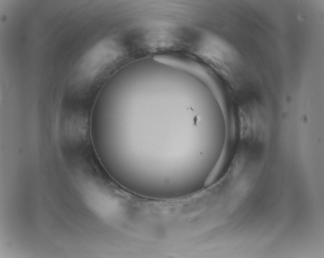 X0000071850033200606301348