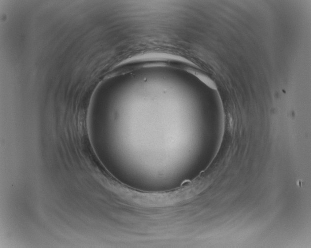 X0000071850034200606301348