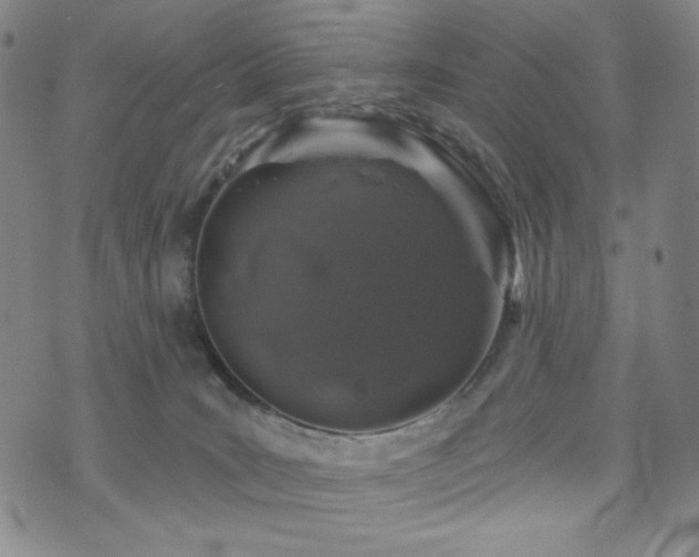 X0000071850035200606301348