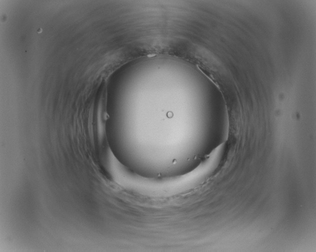 X0000071850037200606301348