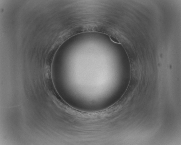 X0000071850038200606301348