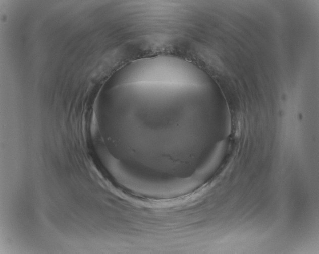 X0000071850039200606301348