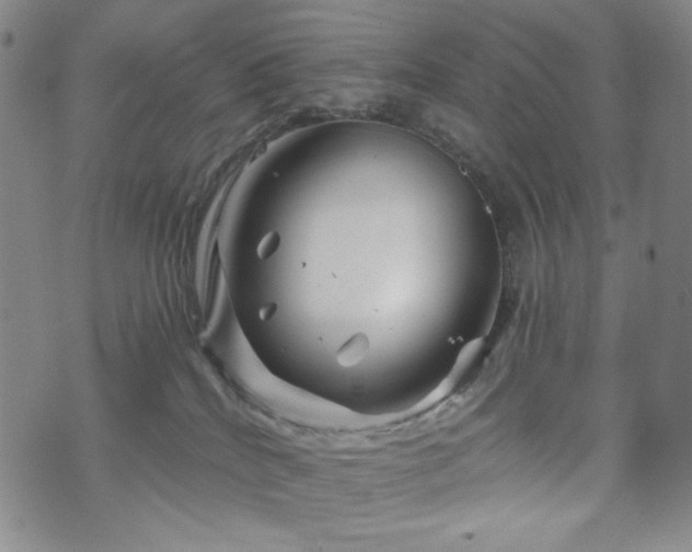 X0000071850040200606301348