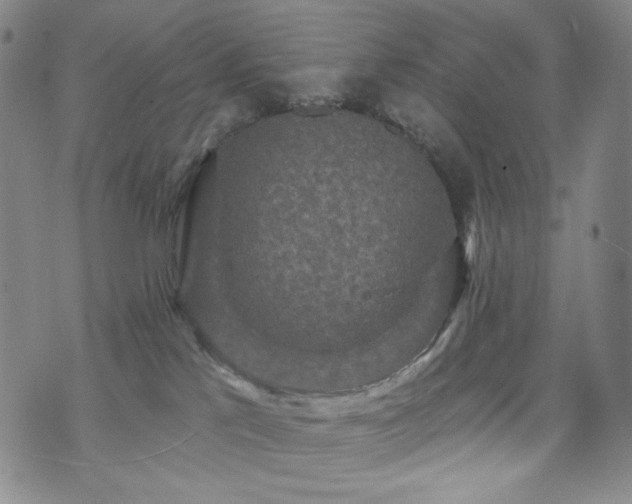 X0000071850041200606301348