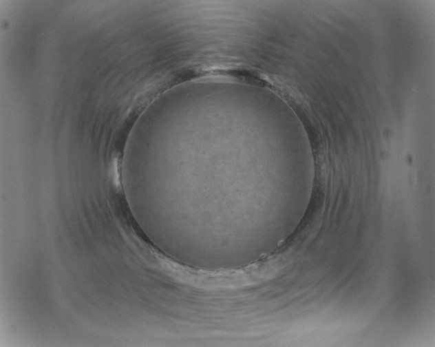 X0000071850042200606301348