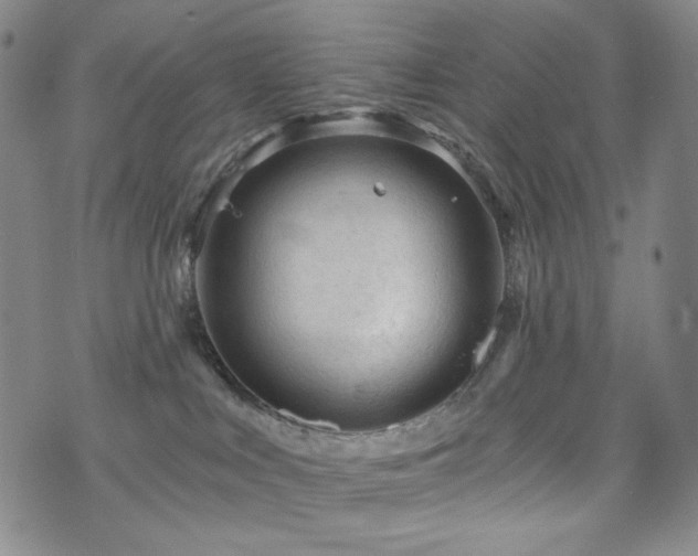 X0000071850043200606301348