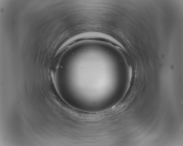 X0000071850044200606301348