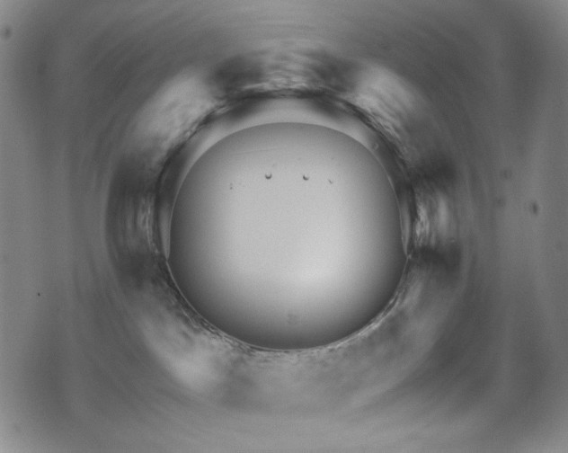 X0000071850045200606301348