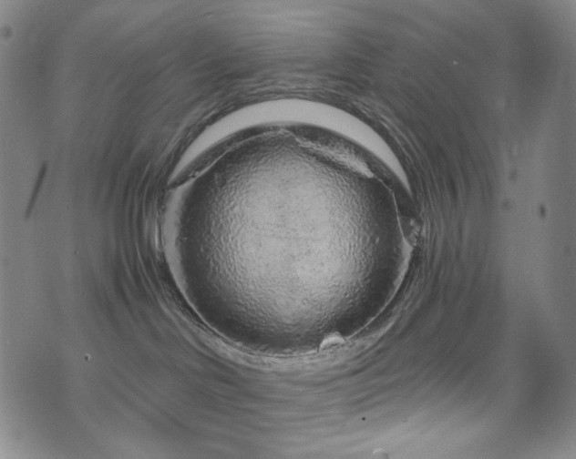 X0000071850046200606301348