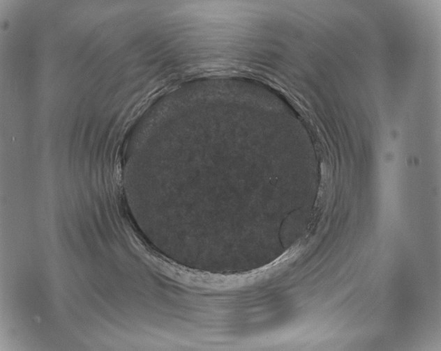 X0000071850048200606301348