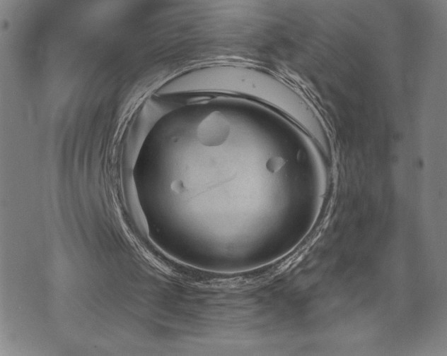 X0000071850049200606301347