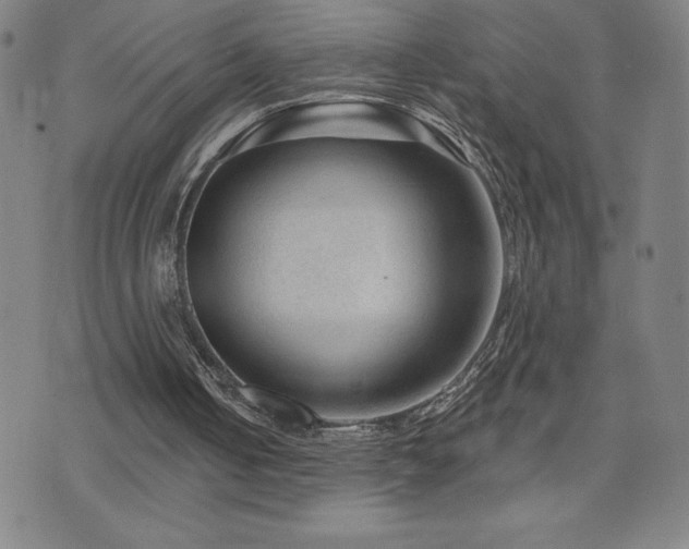 X0000071850050200606301347