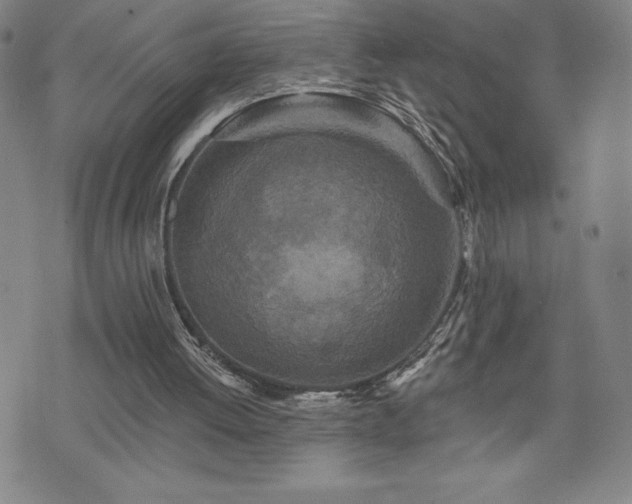 X0000071850052200606301347