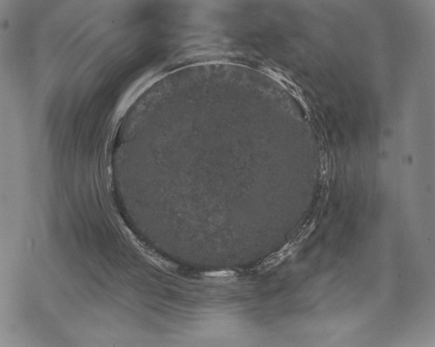 X0000071850053200606301347