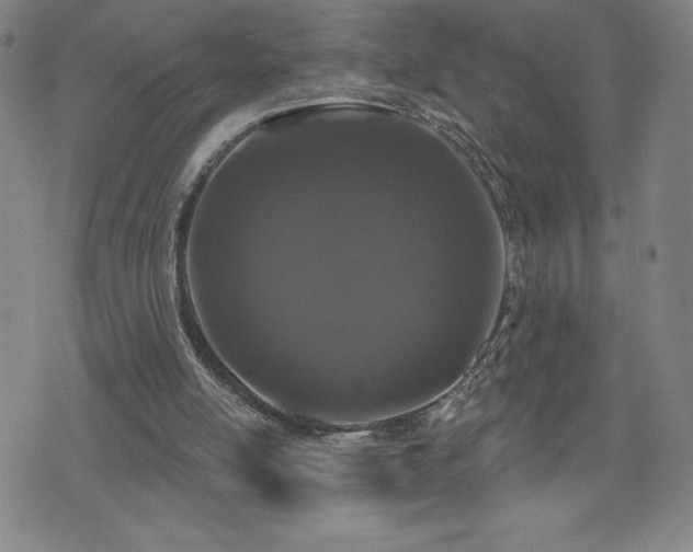 X0000071850054200606301347