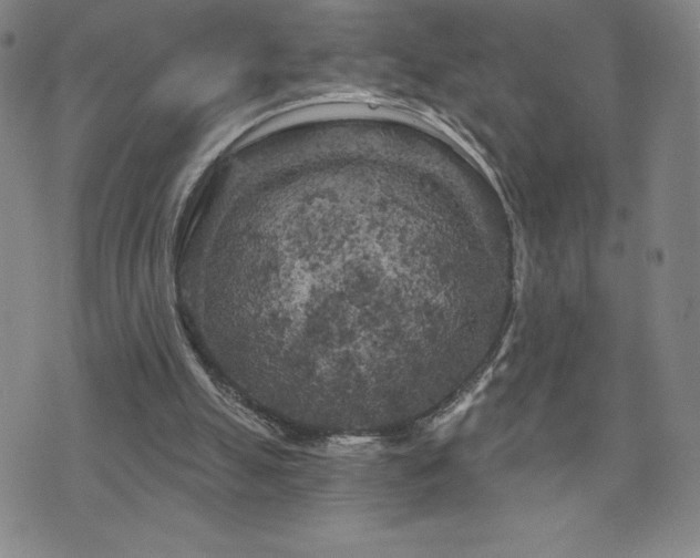 X0000071850055200606301347