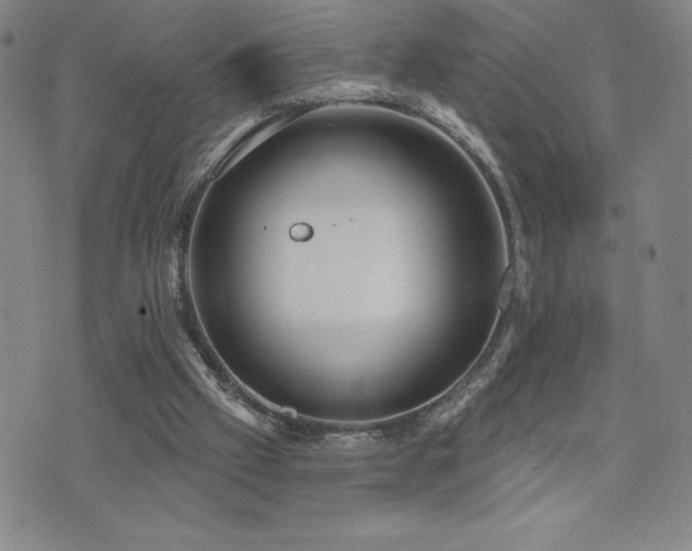 X0000071850057200606301347