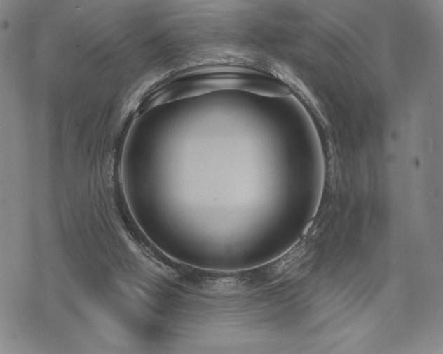 X0000071850058200606301347