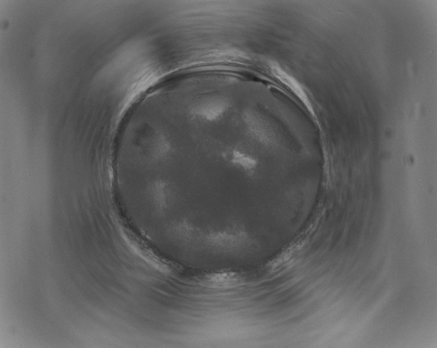 X0000071850059200606301347