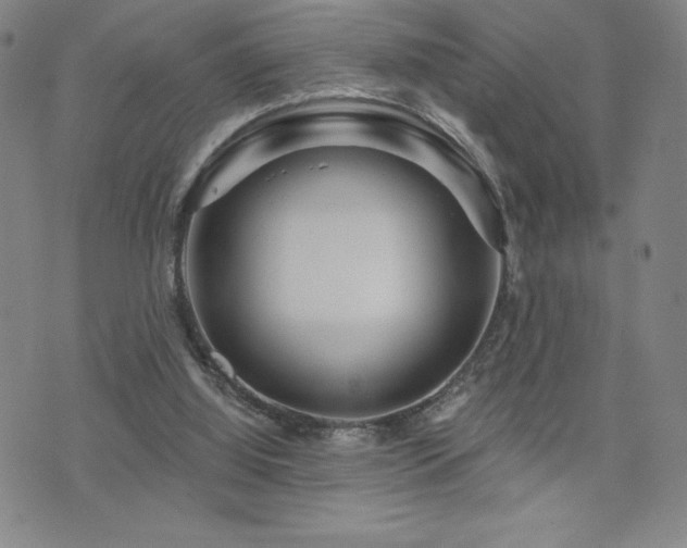 X0000071850060200606301347