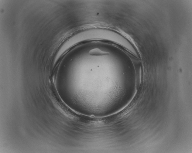 X0000071850061200606301347