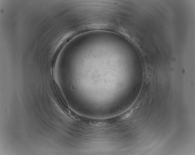 X0000071850062200606301347