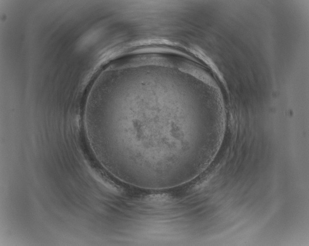 X0000071850063200606301347