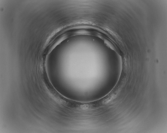 X0000071850064200606301347