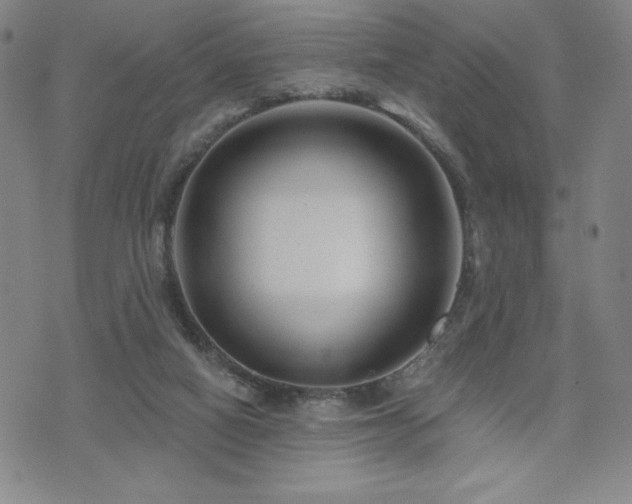 X0000071850066200606301347