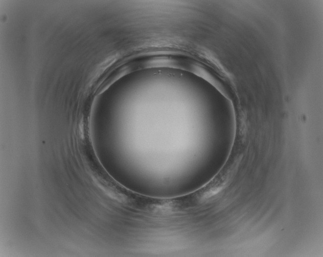 X0000071850068200606301347