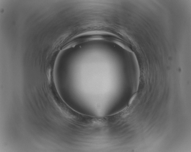 X0000071850070200606301347