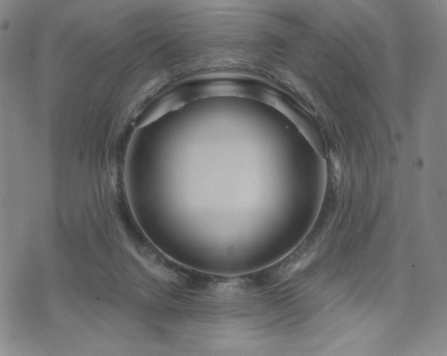 X0000071850072200606301347