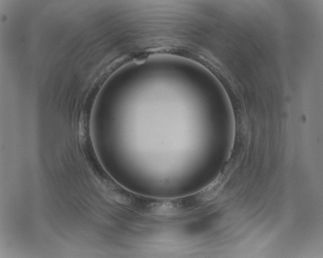 X0000071850074200606301348