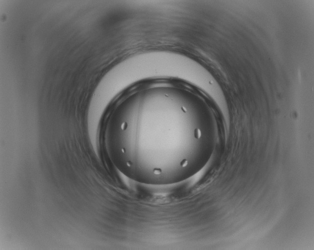 X0000071850075200606301348