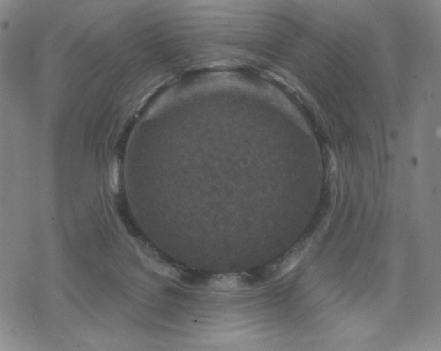 X0000071850076200606301348