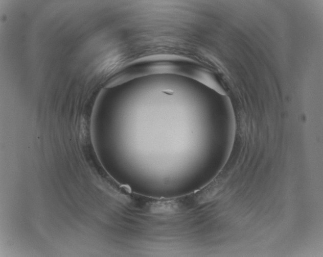 X0000071850077200606301348