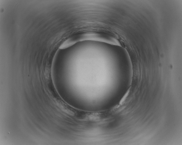 X0000071850078200606301348