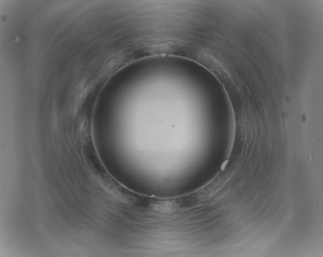 X0000071850079200606301348